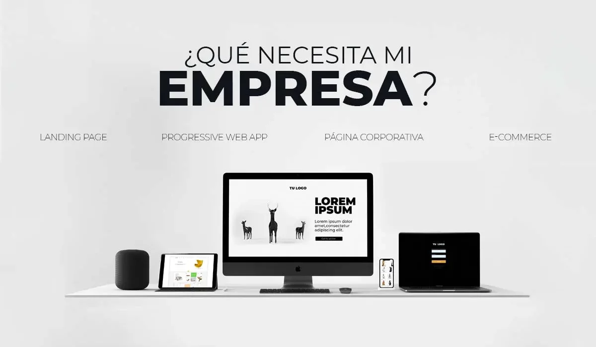 que-necesita-mi-empresa-extasiz